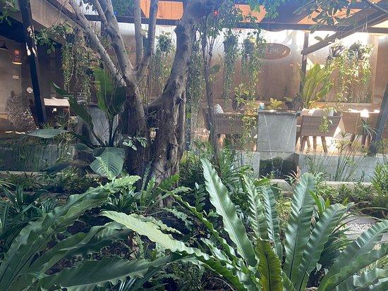 Nana Jungle Cafe & Restaurant